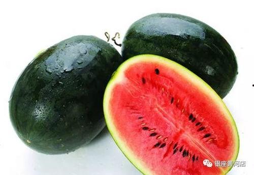 155fun吃瓜热门大瓜黑料,揭秘热门大瓜背后的黑料风云